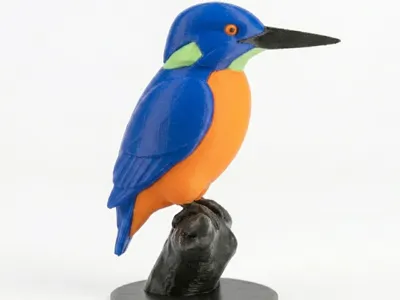 Kingfisher