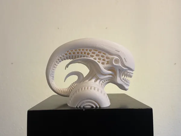 https://makerworld.bblmw.com/makerworld/model/US4145b58e4d832a/design/2025-10-09_b564c092453798.jpg