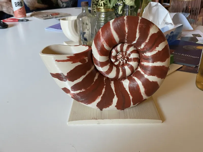 Nautilus shell planter / pot