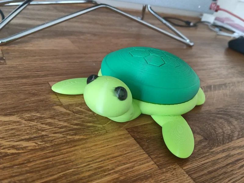 Turtle Game Card Holder