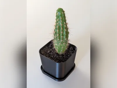 Square Flower Pot with Saucer