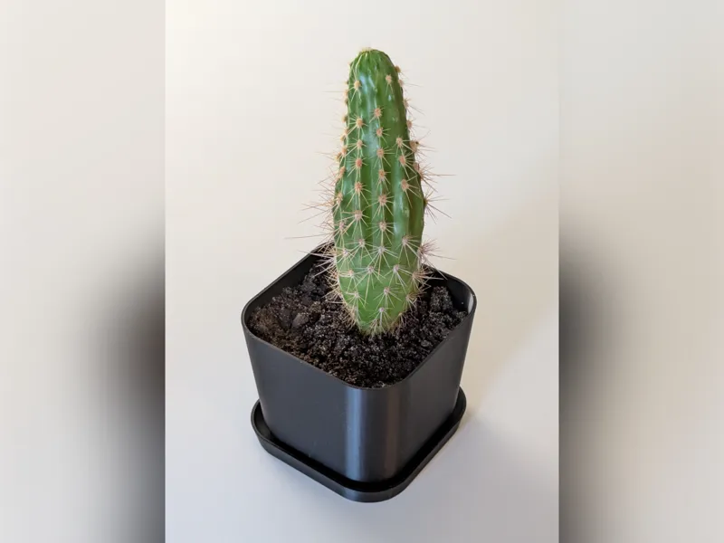 Square Flower Pot with Saucer