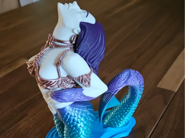 https://makerworld.bblmw.com/makerworld/model/US414ab473167b2f/design/2025-10-02_eaaf2f94fa734.jpg