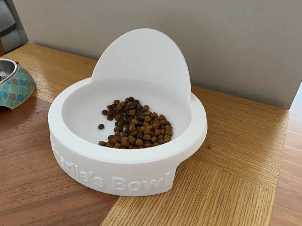 Gamelle pour chat gourmand
