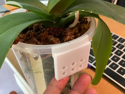 Phalaenopsis Qingshan Pot Wall Mount Accessories