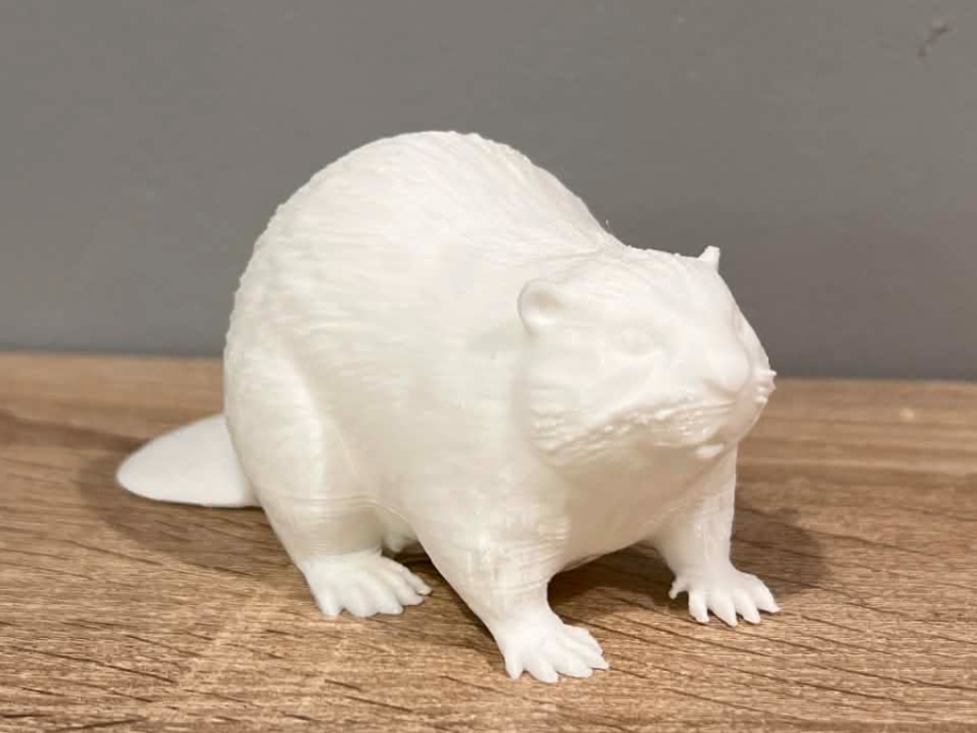 Beaver / BOBER - Animal - Decor