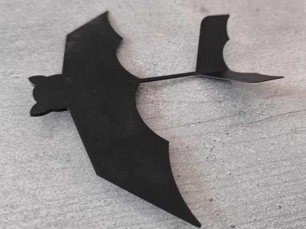https://makerworld.bblmw.com/makerworld/model/US4151301a53b8ee/design/2024-09-19_442782086d736.jpg