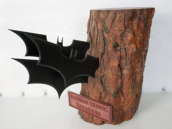 https://makerworld.bblmw.com/makerworld/model/US4155399516d03f/design/2024-07-24_d07608e1bf21f8.jpg
