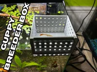 Guppie Breeder Box