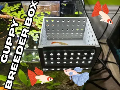 Guppy Breeder Box