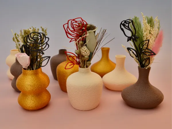 https://makerworld.bblmw.com/makerworld/model/US415a058e60c9c0/design/2025-03-03_d69e46b3ed9aa.jpg