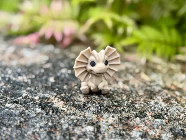 https://makerworld.bblmw.com/makerworld/model/US415a3624b6ea02/design/2025-07-06_de2f00e31e54b.jpg