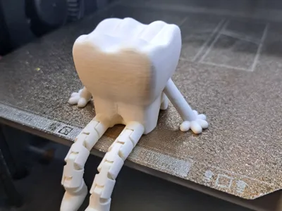 Tooth Companion