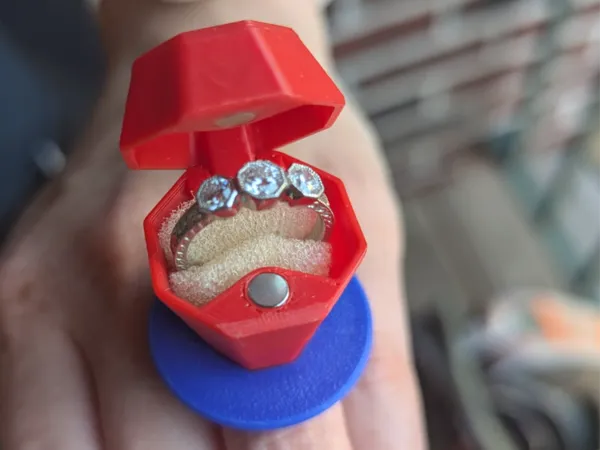 https://makerworld.bblmw.com/makerworld/model/US415ef9fa3f4c8d/design/2025-09-22_c764db142105d.jpg
