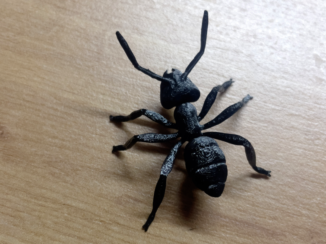 ANT