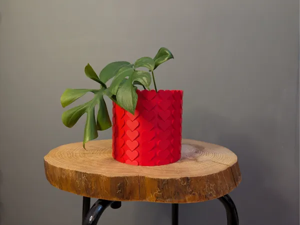 https://makerworld.bblmw.com/makerworld/model/US416a86be2750bc/design/2025-01-15_01d73baf1451a.jpg