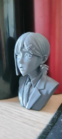 0.2mm layer, 2 walls, 5% infill