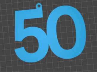 50 keychain 