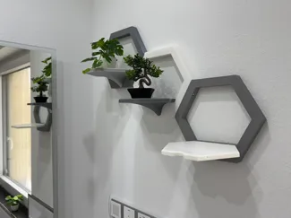 Foldable multicolored modular Hexagonal shelf