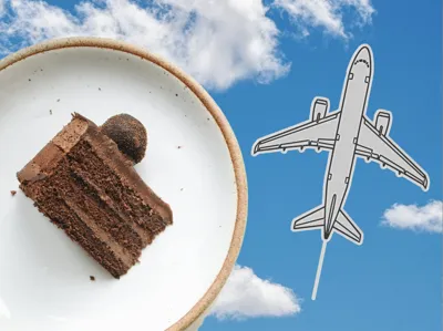 Airplane Cake Topper