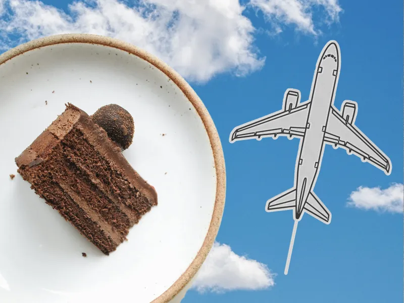 Airplane Cake Topper
