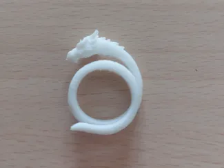 Dragon Ring