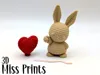 Sequence Print (1 Plate) 