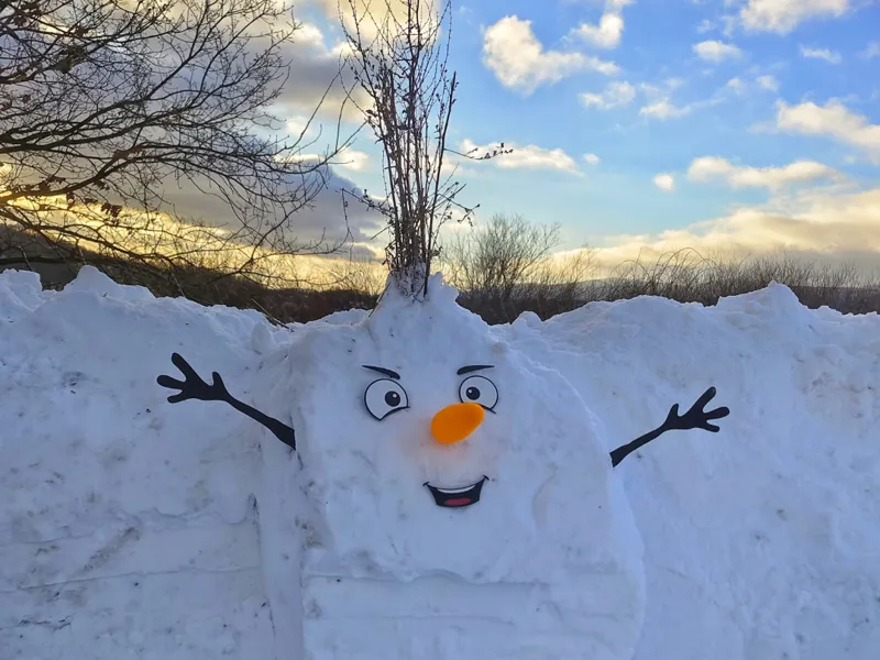 Face for Snowman