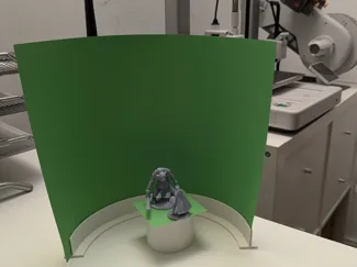 Photo Studio Screen, Infitinty View &Green Screen
