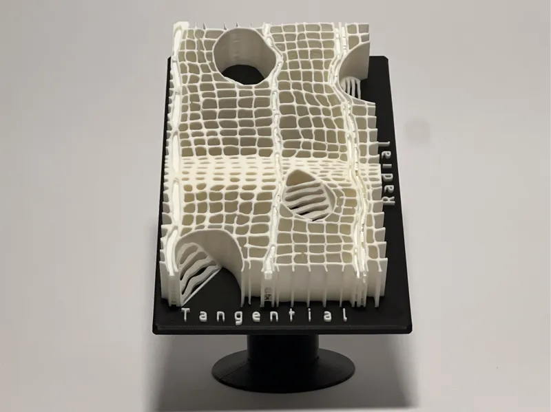 Microscopic model of hardwood