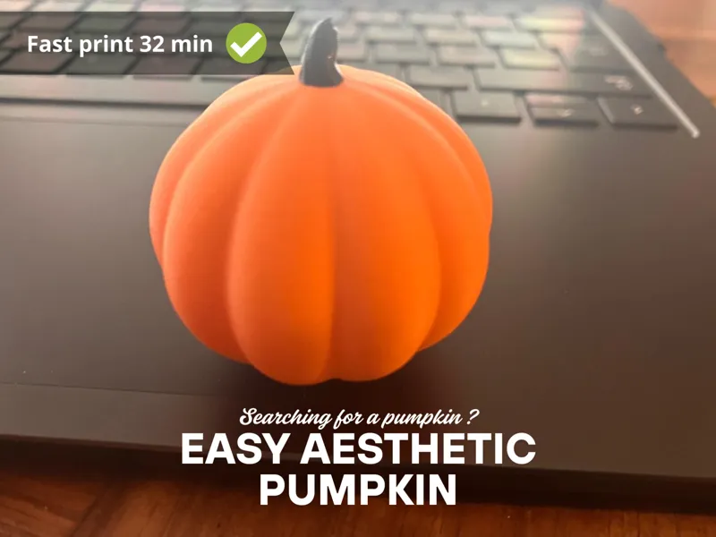 Aesthetic Pumpkin