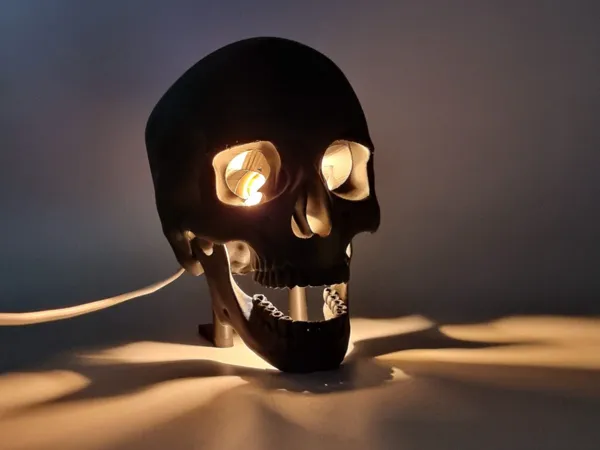 https://makerworld.bblmw.com/makerworld/model/US419a6c867caa3c/design/26c4fca2c80c4b9c.jpeg