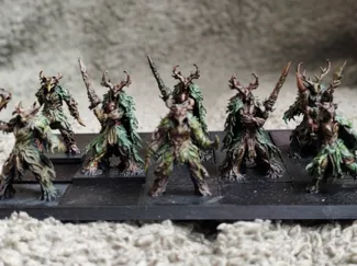 Guerrier de la nature (5 modèles)
