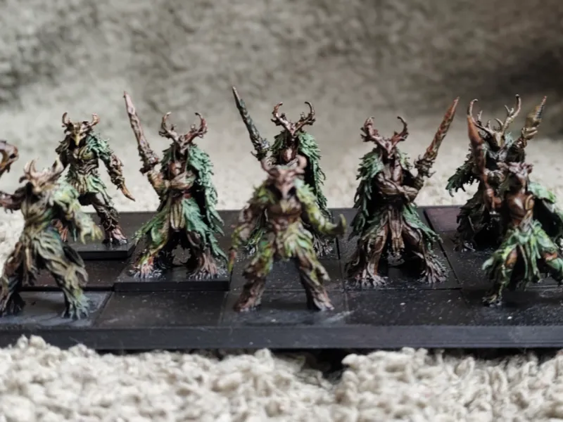Guerrier de la nature (5 modèles)