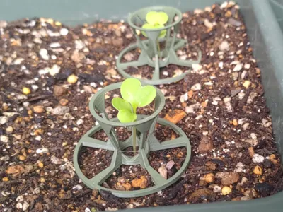 Plant Support Guide