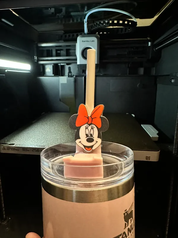 https://makerworld.bblmw.com/makerworld/model/US41a3a7ed3c3b/design/2024-03-04_ce12e03589e32.jpeg