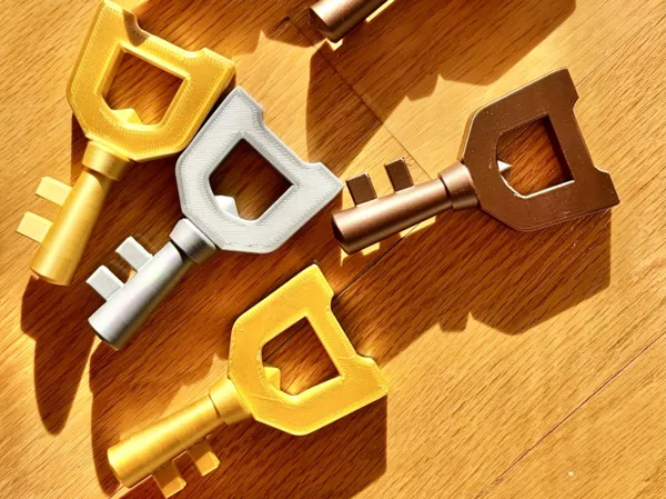 https://makerworld.bblmw.com/makerworld/model/US41a3cebd018084/design/2024-11-19_4677f250246a7.png