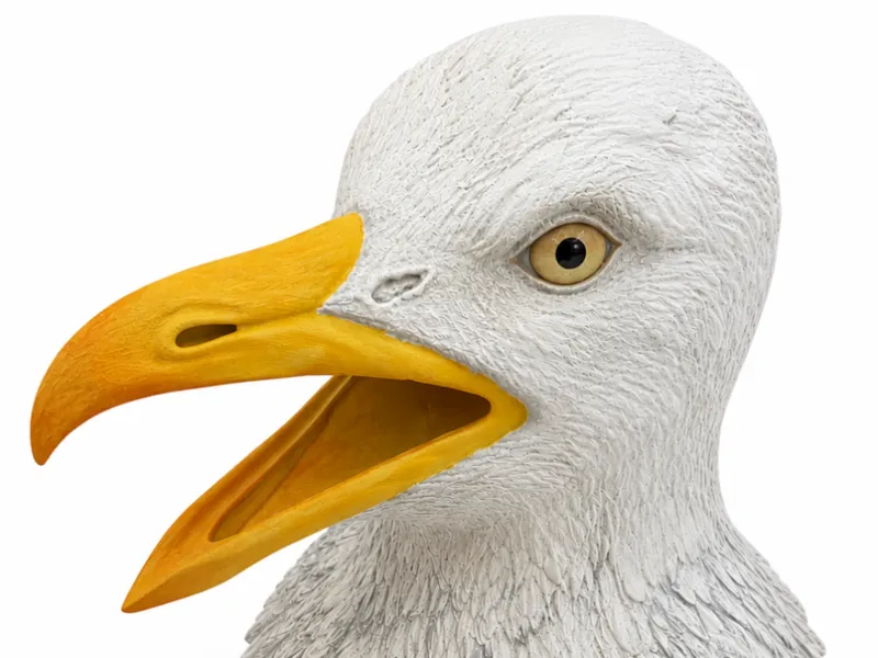 Life-Size Wearable Seagull Head Mask