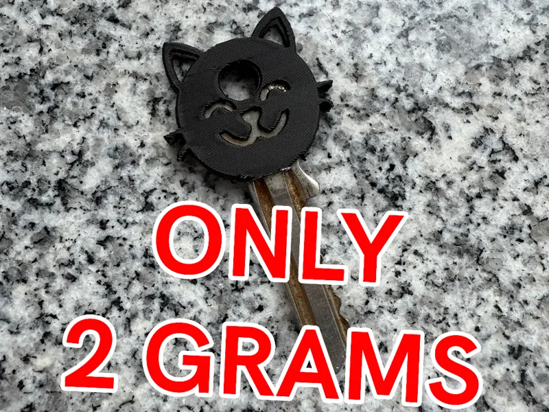 Cute Cat Key Cover