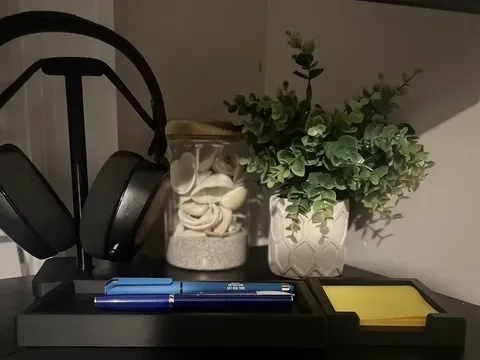 https://makerworld.bblmw.com/makerworld/model/US41b46d17f250bd/design/2024-10-11_67900a687c8e9.jpeg