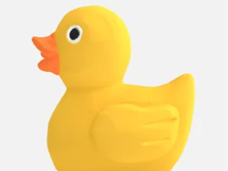 duck