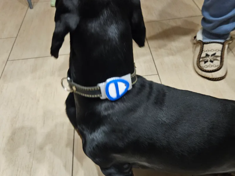 Support Airtag Android pour collier de chien