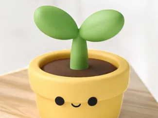Happy plant in a pot decor