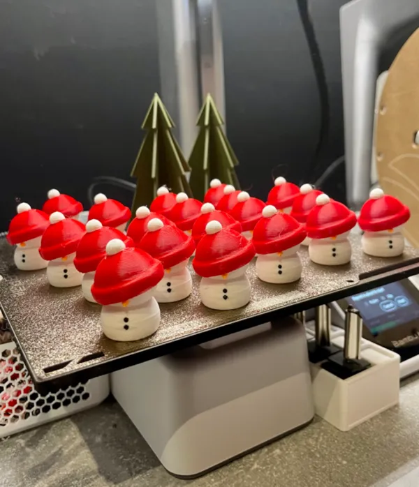https://makerworld.bblmw.com/makerworld/model/US41cd71894960ce/design/2024-11-18_a2fe14e5b3803.jpeg