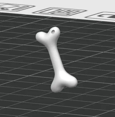 Dog bone keychain