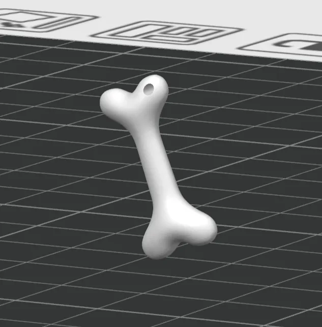 Dog bone keychain