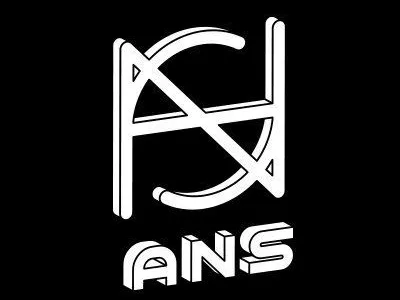 ans logo bigger