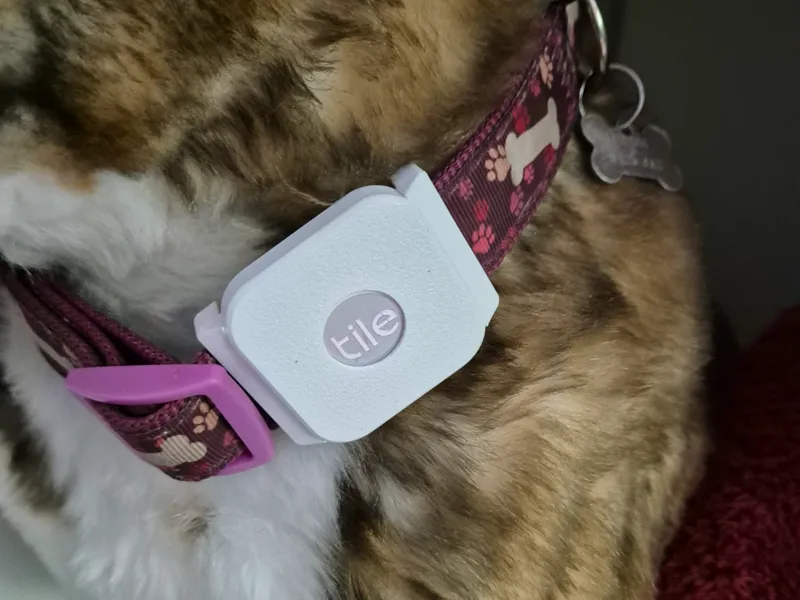 Tile Mate (2020) Dog Collar Attachment