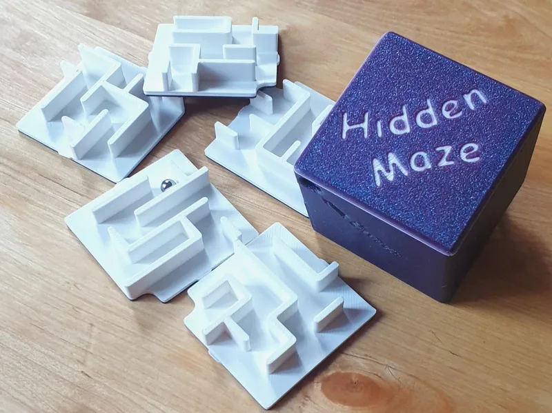 Hidden Maze