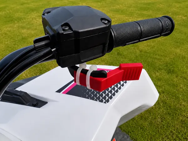 https://makerworld.bblmw.com/makerworld/model/US41dab9c050a4f1/design/60d51d80ab156ba1.png
